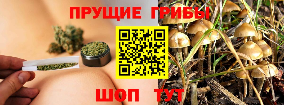 где продают наркотики  Вход с VPN  Димитровград  Псилоцибиновые грибы прущие грибы 