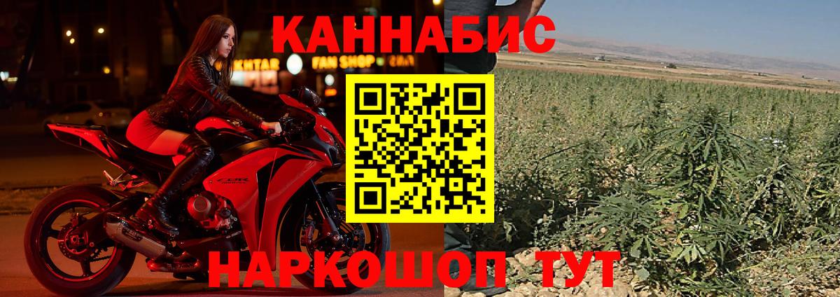 Конопля план Димитровград